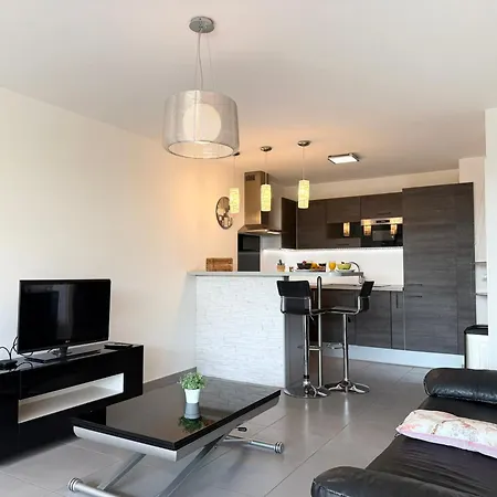 Magnifique Avec Terrasse Et Piscine Apartment *