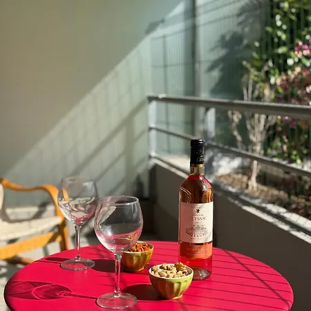 Magnifique Avec Terrasse Et Piscine ニース